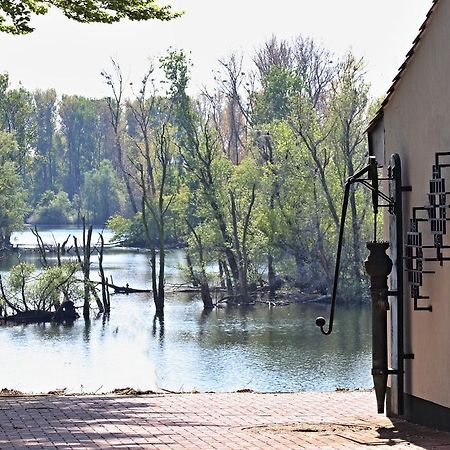 Ferienwohnung Fischerhuette クサンテン エクステリア 写真